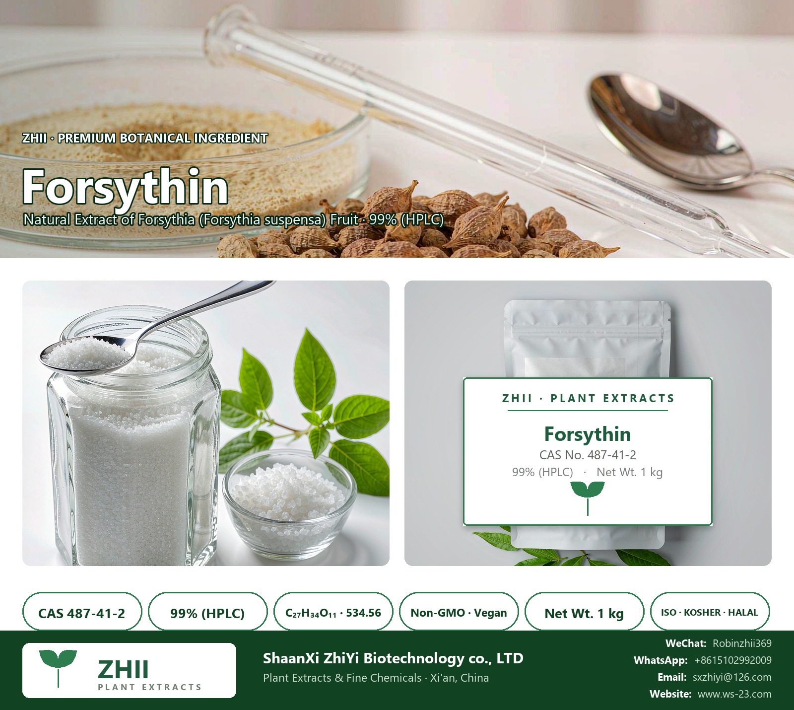 Forsythin CAS 487-41-2 natural plant extract from Forsythia - ZHII ShaanXi ZhiYi Biotechnology supplier