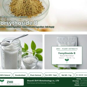Forsythoside B natural botanical extract powder - ZHII ShaanXi ZhiYi Biotechnology supplier