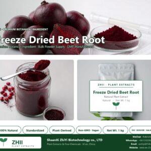 Freeze Dried Beet Root Powder natural botanical extract powder - ZHII ShaanXi ZhiYi Biotechnology supplier