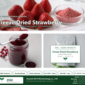 Freeze Dried Strawberry Powder natural botanical extract powder - ZHII ShaanXi ZhiYi Biotechnology supplier