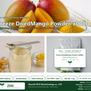 Freeze DriedMango Powder_x000b_ natural Mango extract powder - ZHII ShaanXi ZhiYi Biotechnology supplier
