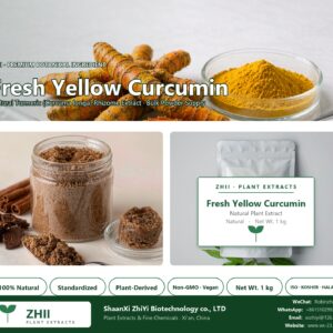 Fresh Yellow Curcumin natural Turmeric extract powder - ZHII ShaanXi ZhiYi Biotechnology supplier