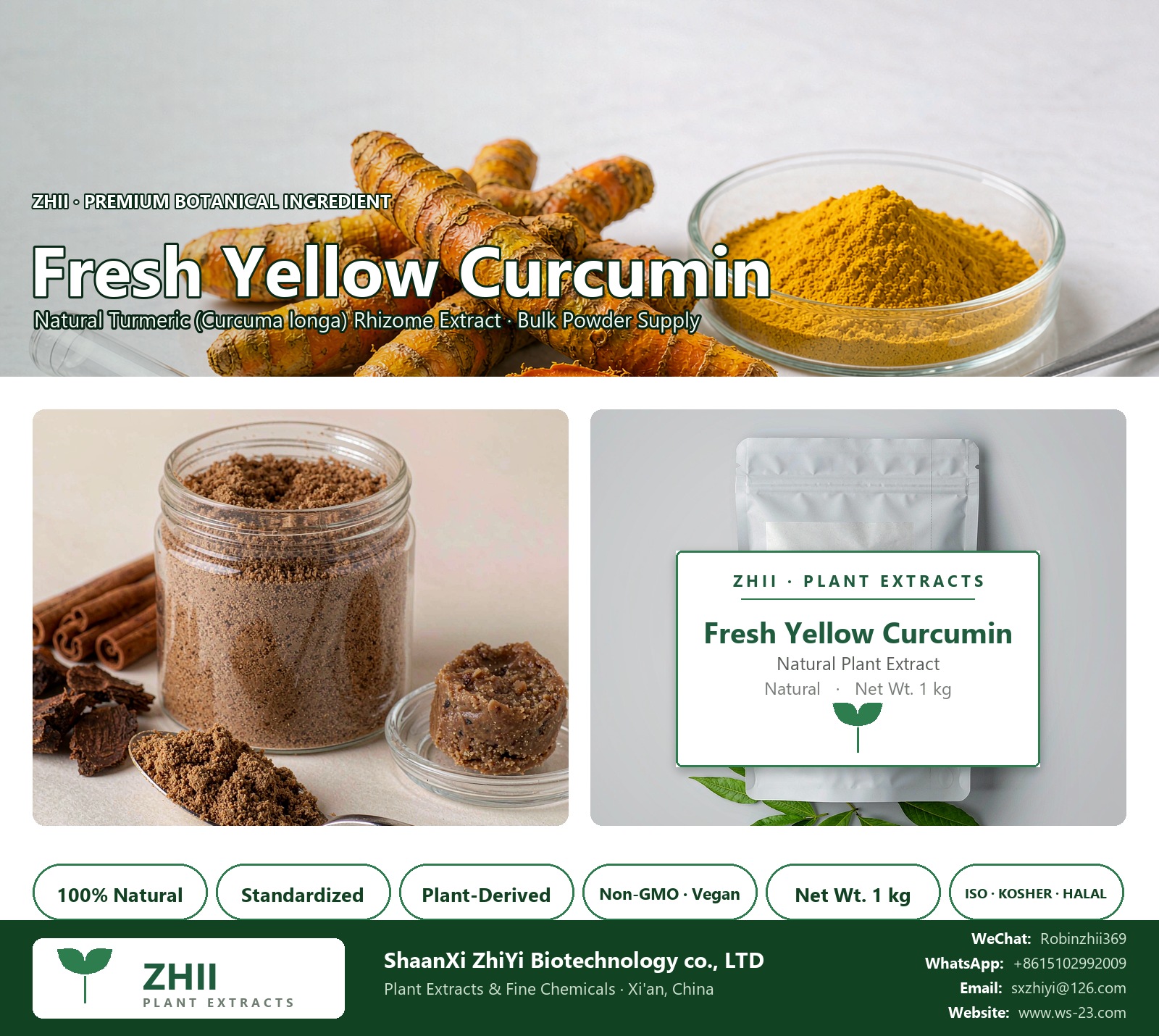 Fresh Yellow Curcumin natural Turmeric extract powder - ZHII ShaanXi ZhiYi Biotechnology supplier