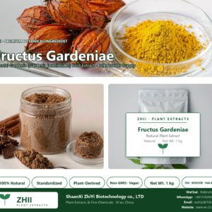 Fructus Gardeniae natural Gardenia extract powder - ZHII ShaanXi ZhiYi Biotechnology supplier