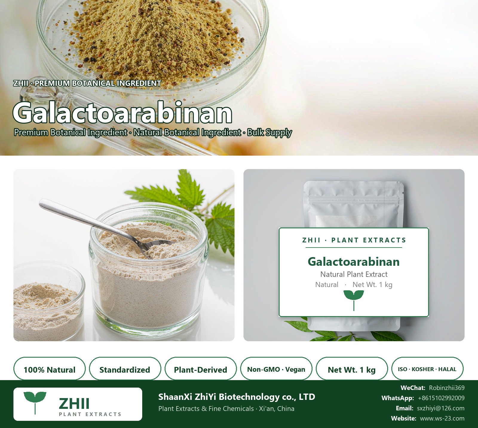 Galactoarabinan/Arabinogalactan/ Larch Gum natural botanical extract powder - ZHII ShaanXi ZhiYi Biotechnology supplier