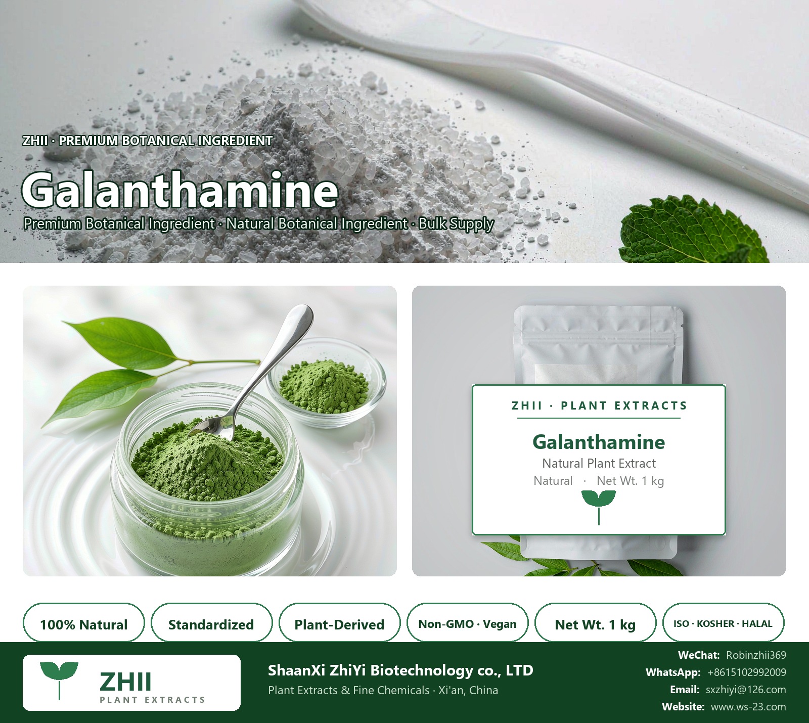 Galanthamine/Galanthamine base natural botanical extract powder - ZHII ShaanXi ZhiYi Biotechnology supplier