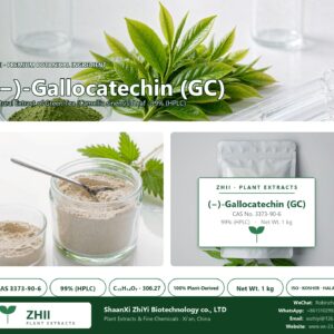 (-)-Gallocatechin (GC) CAS 3373-90-6 natural plant extract from botanical source - ZHII ShaanXi ZhiYi Biotechnology supplier