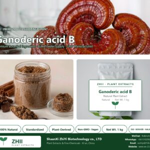Ganoderic acid B natural botanical extract powder - ZHII ShaanXi ZhiYi Biotechnology supplier