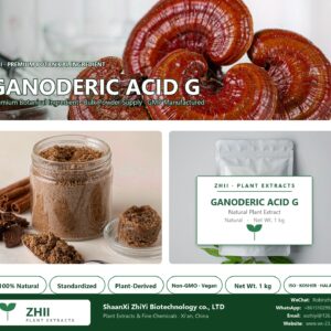 GANODERIC ACID G natural botanical extract powder - ZHII ShaanXi ZhiYi Biotechnology supplier