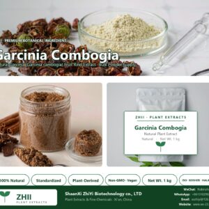 Garcinia Combogia natural Garcinia extract powder - ZHII ShaanXi ZhiYi Biotechnology supplier