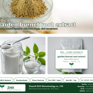garden burnet root extract natural botanical extract powder - ZHII ShaanXi ZhiYi Biotechnology supplier