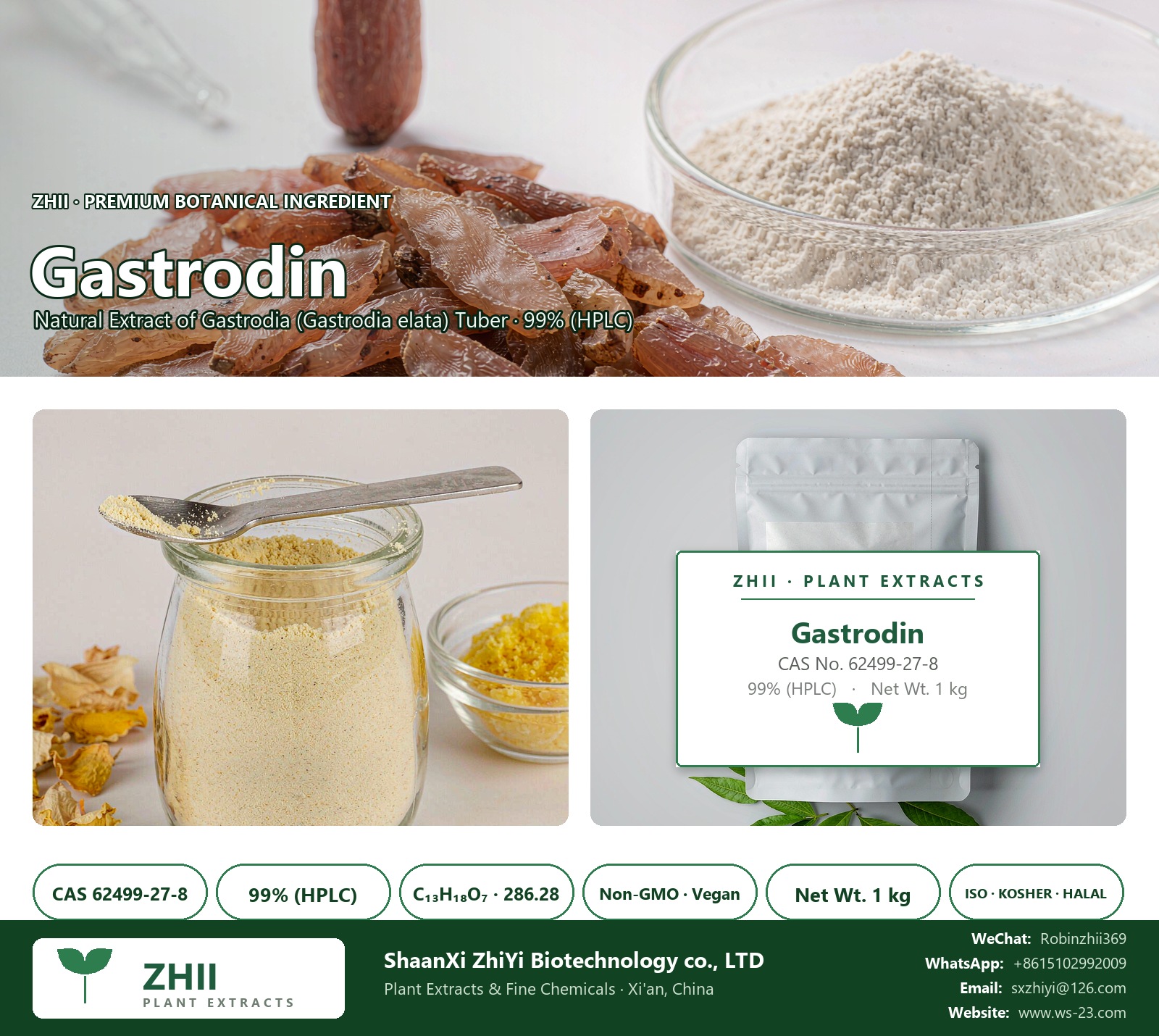 Gastrodin CAS 62499-27-8 natural plant extract from Gastrodia - ZHII ShaanXi ZhiYi Biotechnology supplier