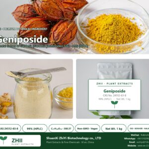 Geniposide CAS 24512-63-8 natural plant extract from Gardenia - ZHII ShaanXi ZhiYi Biotechnology supplier