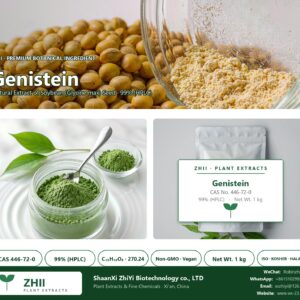 Genistein CAS 446-72-0 natural plant extract from Soybean - ZHII ShaanXi ZhiYi Biotechnology supplier
