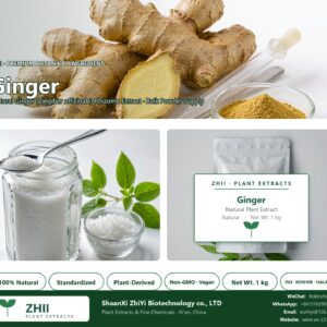 Ginger powder natural Ginger extract powder - ZHII ShaanXi ZhiYi Biotechnology supplier