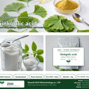 Ginkgolic acid natural Ginkgo extract powder - ZHII ShaanXi ZhiYi Biotechnology supplier