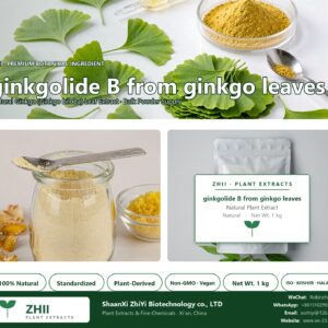 ginkgolide B from ginkgo leaves natural Ginkgo extract powder - ZHII ShaanXi ZhiYi Biotechnology supplier