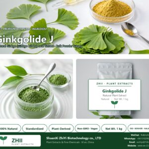 Ginkgolide J natural Ginkgo extract powder - ZHII ShaanXi ZhiYi Biotechnology supplier