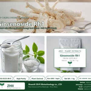 Ginsenoside Rh1 CAS 63223-86-9 natural plant extract from Asian Ginseng - ZHII ShaanXi ZhiYi Biotechnology supplier