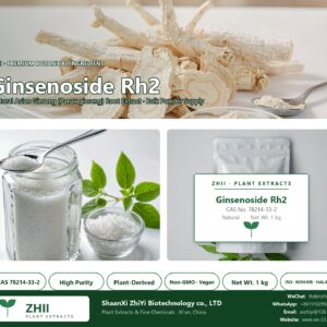 Ginsenoside Rh2 CAS 78214-33-2 natural plant extract from Asian Ginseng - ZHII ShaanXi ZhiYi Biotechnology supplier