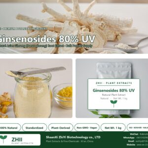 Ginsenosides 80% UV natural Asian Ginseng extract powder - ZHII ShaanXi ZhiYi Biotechnology supplier
