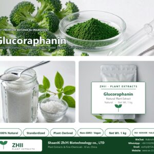 Glucoraphanin natural botanical extract powder - ZHII ShaanXi ZhiYi Biotechnology supplier