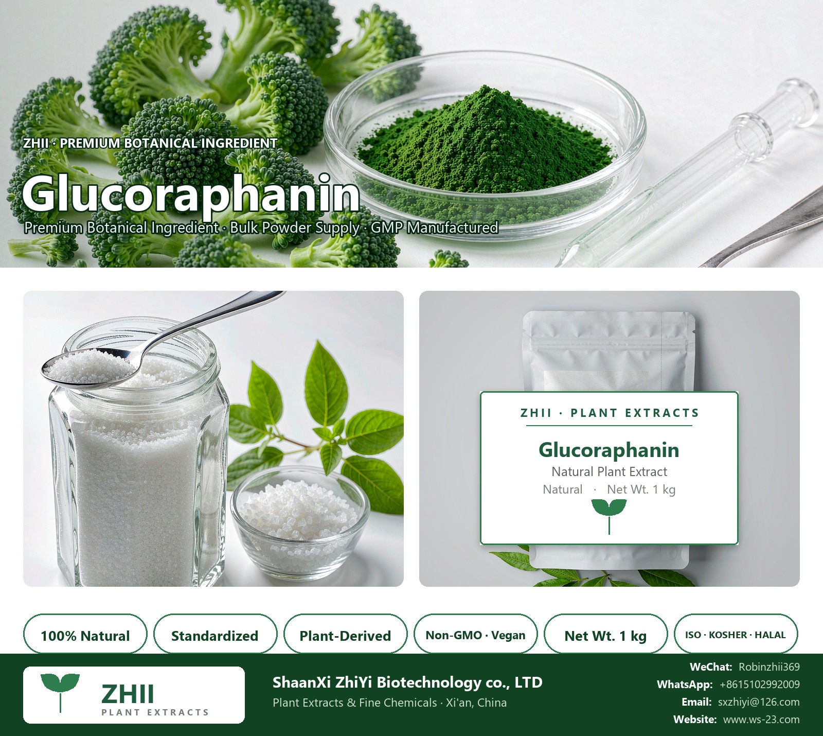 Glucoraphanin natural botanical extract powder - ZHII ShaanXi ZhiYi Biotechnology supplier