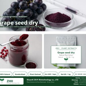 Grape seed dry natural Grape extract powder - ZHII ShaanXi ZhiYi Biotechnology supplier