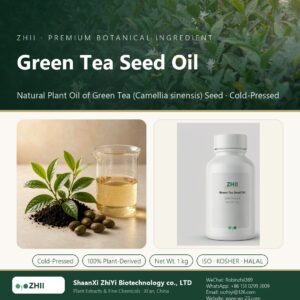 Green Tea Seed Oil liquid extract in laboratory beaker - ZHII Plant Extracts by ShaanXi ZhiYi Biotechnology