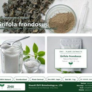 Grifola frondosus natural botanical extract powder - ZHII ShaanXi ZhiYi Biotechnology supplier