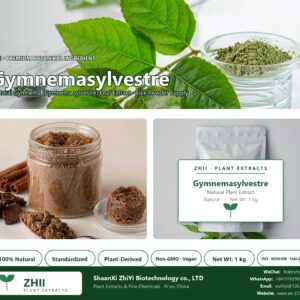 Gymnemasylvestre natural Gymnema extract powder - ZHII ShaanXi ZhiYi Biotechnology supplier