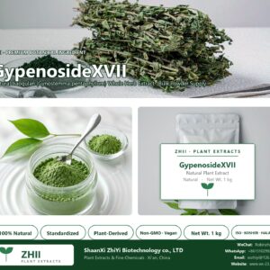 GypenosideXVII natural Jiaogulan extract powder - ZHII ShaanXi ZhiYi Biotechnology supplier