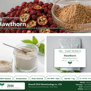 Hawthorn natural Hawthorn extract powder - ZHII ShaanXi ZhiYi Biotechnology supplier