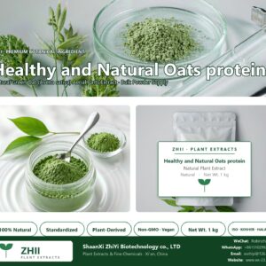 Healthy and Natural Oats protein/ Oats Extract natural Green Oat extract powder - ZHII ShaanXi ZhiYi Biotechnology supplier