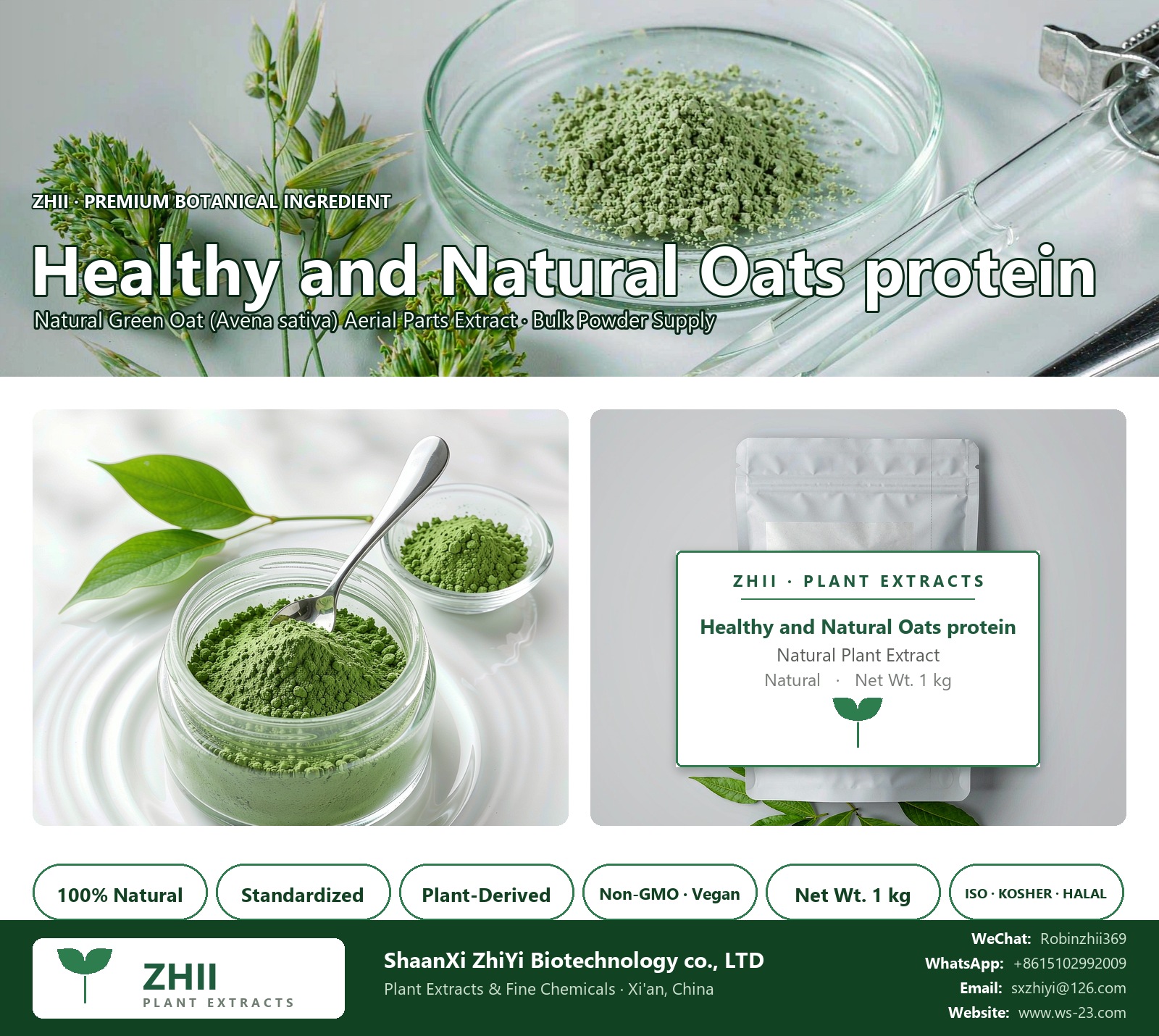 Healthy and Natural Oats protein/ Oats Extract natural Green Oat extract powder - ZHII ShaanXi ZhiYi Biotechnology supplier