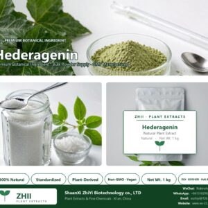 Hederagenin natural botanical extract powder - ZHII ShaanXi ZhiYi Biotechnology supplier