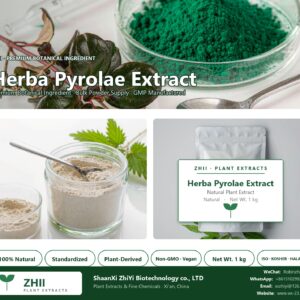Herba Pyrolae Extract natural botanical extract powder - ZHII ShaanXi ZhiYi Biotechnology supplier