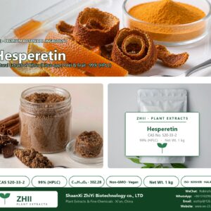 Hesperetin CAS 520-33-2 natural plant extract from Citrus - ZHII ShaanXi ZhiYi Biotechnology supplier