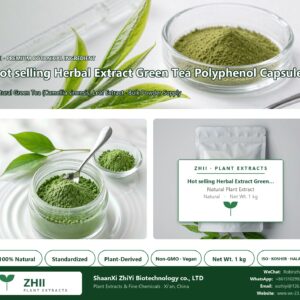 Hot selling Herbal Extract Green Tea Polyphenol Capsule natural Green Tea extract powder - ZHII ShaanXi ZhiYi Biotechnology supplier