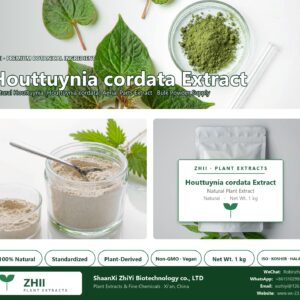 Houttuynia cordata Extract natural Houttuynia extract powder - ZHII ShaanXi ZhiYi Biotechnology supplier