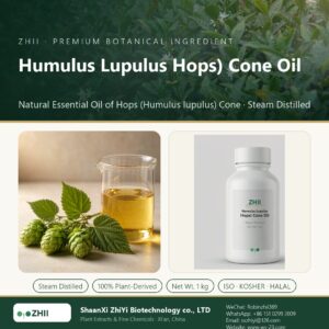 Humulus Lupulus Hops) Cone Oil liquid extract in laboratory beaker - ZHII Plant Extracts by ShaanXi ZhiYi Biotechnology
