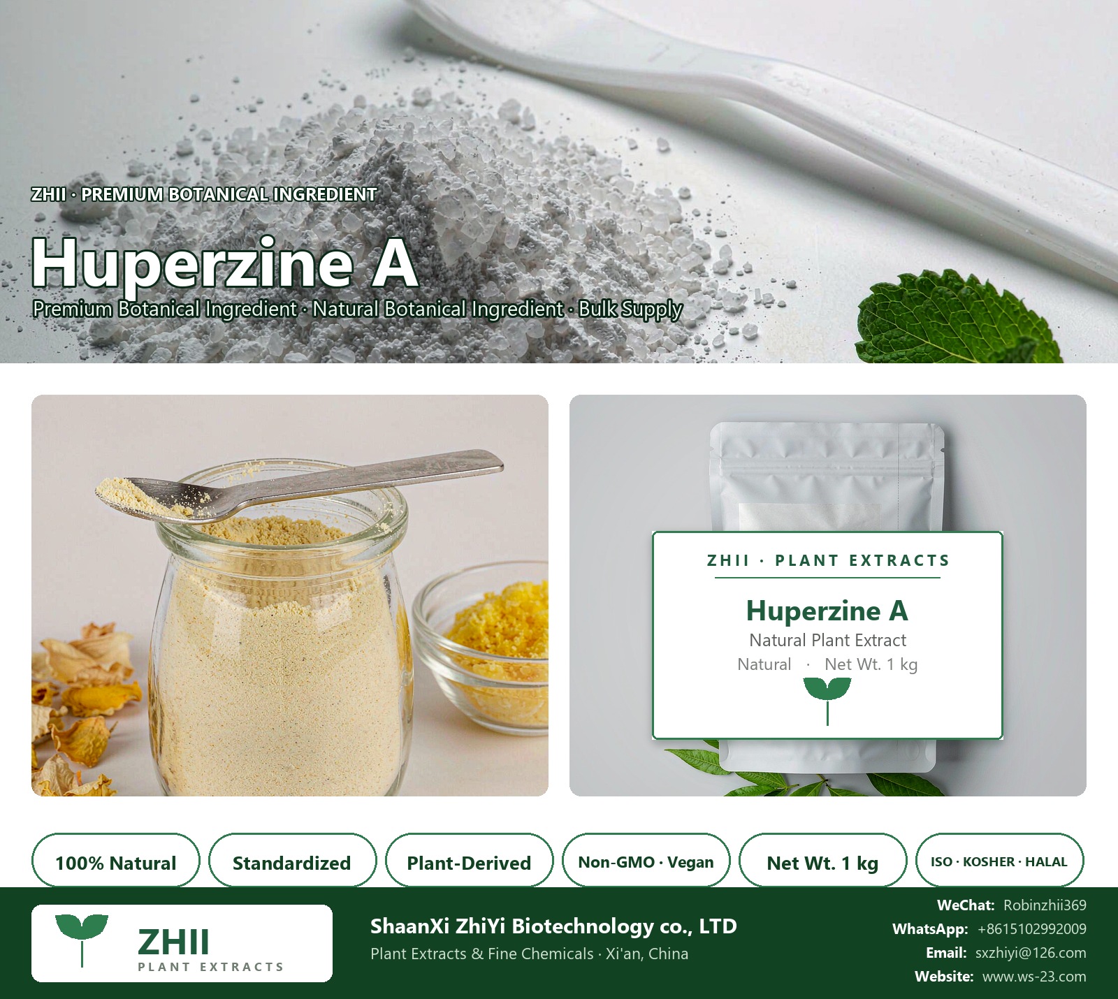 Huperzine A natural botanical extract powder - ZHII ShaanXi ZhiYi Biotechnology supplier