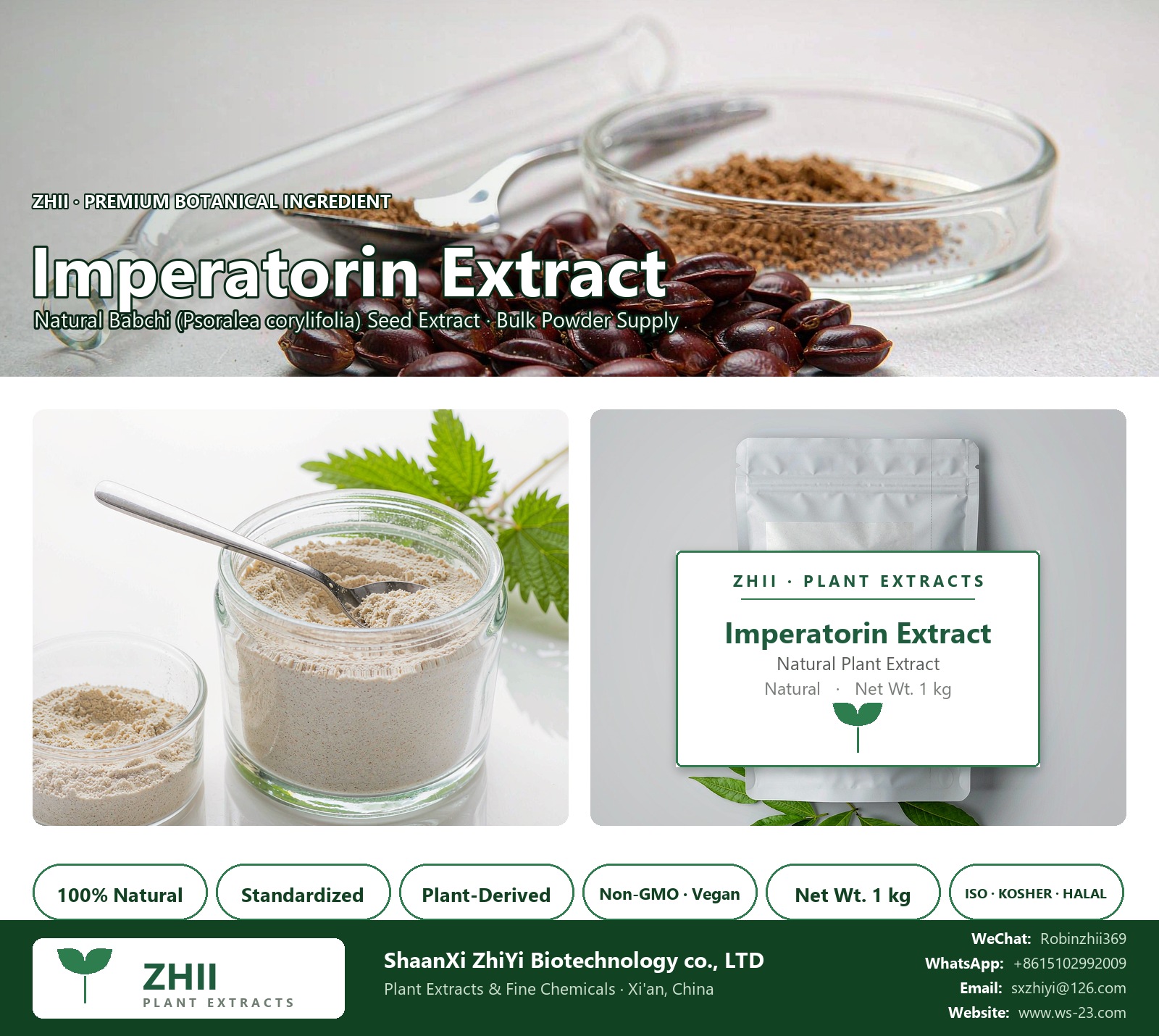 Imperatorin Extract Powder natural Babchi extract powder - ZHII ShaanXi ZhiYi Biotechnology supplier