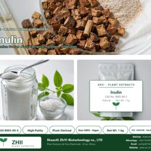 Inulin CAS 9005-80-5 natural plant extract from botanical - ZHII ShaanXi ZhiYi Biotechnology supplier