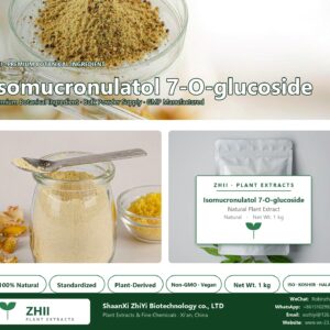 Isomucronulatol 7-O-glucoside natural botanical extract powder - ZHII ShaanXi ZhiYi Biotechnology supplier