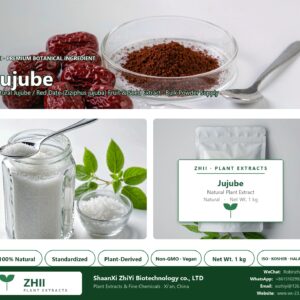 Jujube Powder natural Jujube / Red Date extract powder - ZHII ShaanXi ZhiYi Biotechnology supplier