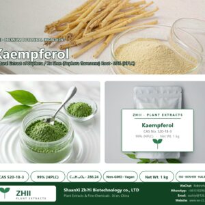 Kaempferol CAS 520-18-3 natural plant extract from Sophora / Ku Shen - ZHII ShaanXi ZhiYi Biotechnology supplier