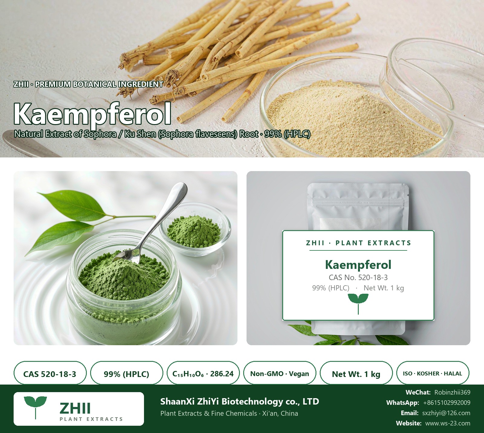 Kaempferol CAS 520-18-3 natural plant extract from Sophora / Ku Shen - ZHII ShaanXi ZhiYi Biotechnology supplier