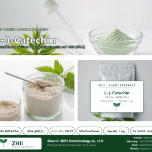 (-)-Catechin CAS 18829-70-4 natural plant extract from botanical source - ZHII ShaanXi ZhiYi Biotechnology supplier