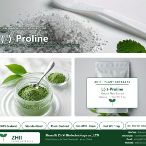 L(-)-Proline natural botanical extract powder - ZHII ShaanXi ZhiYi Biotechnology supplier